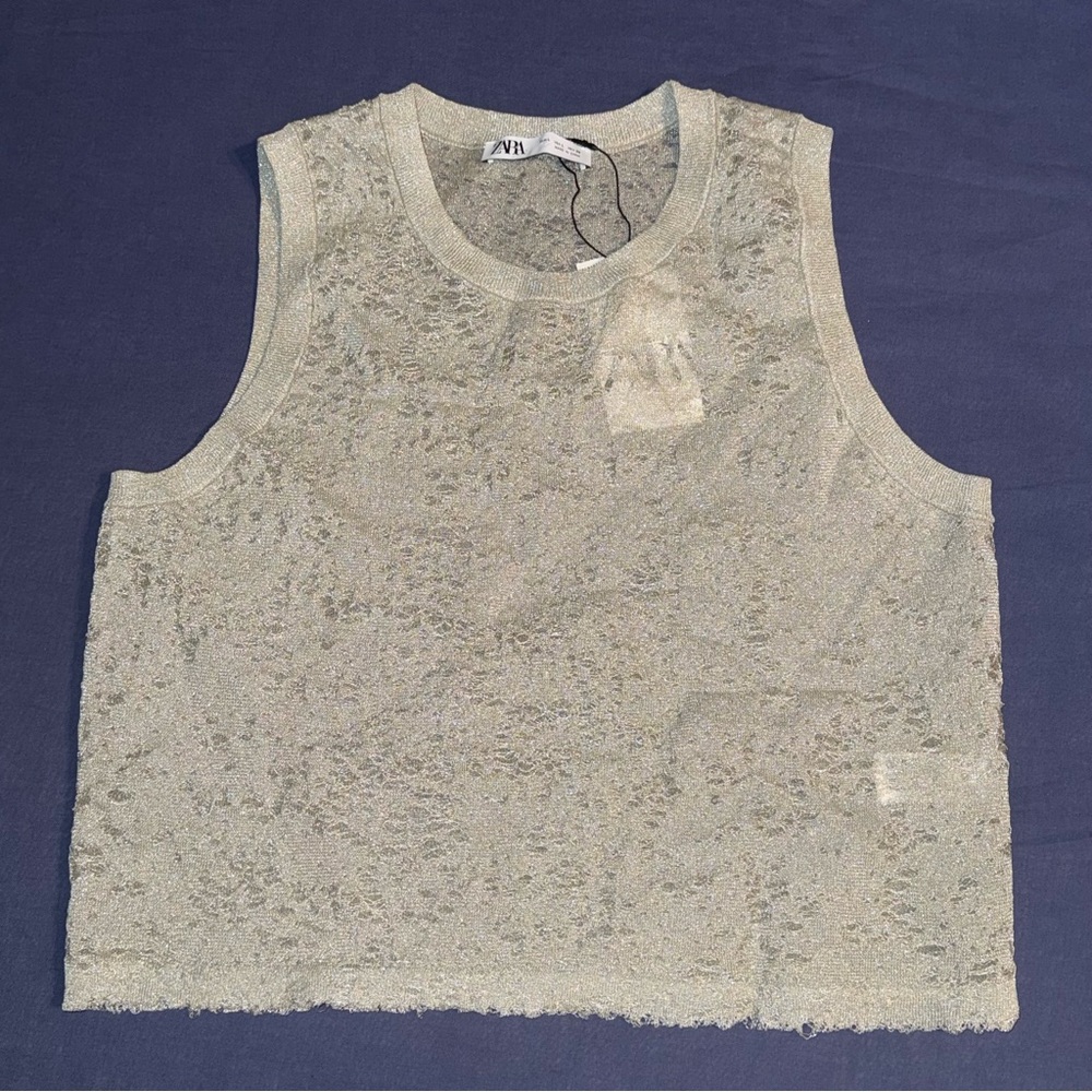 Zara metallic tan-gray distressed cropped tank top